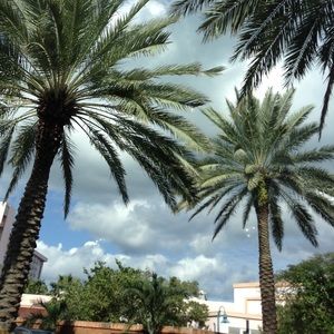 Meet your Posher, Mia